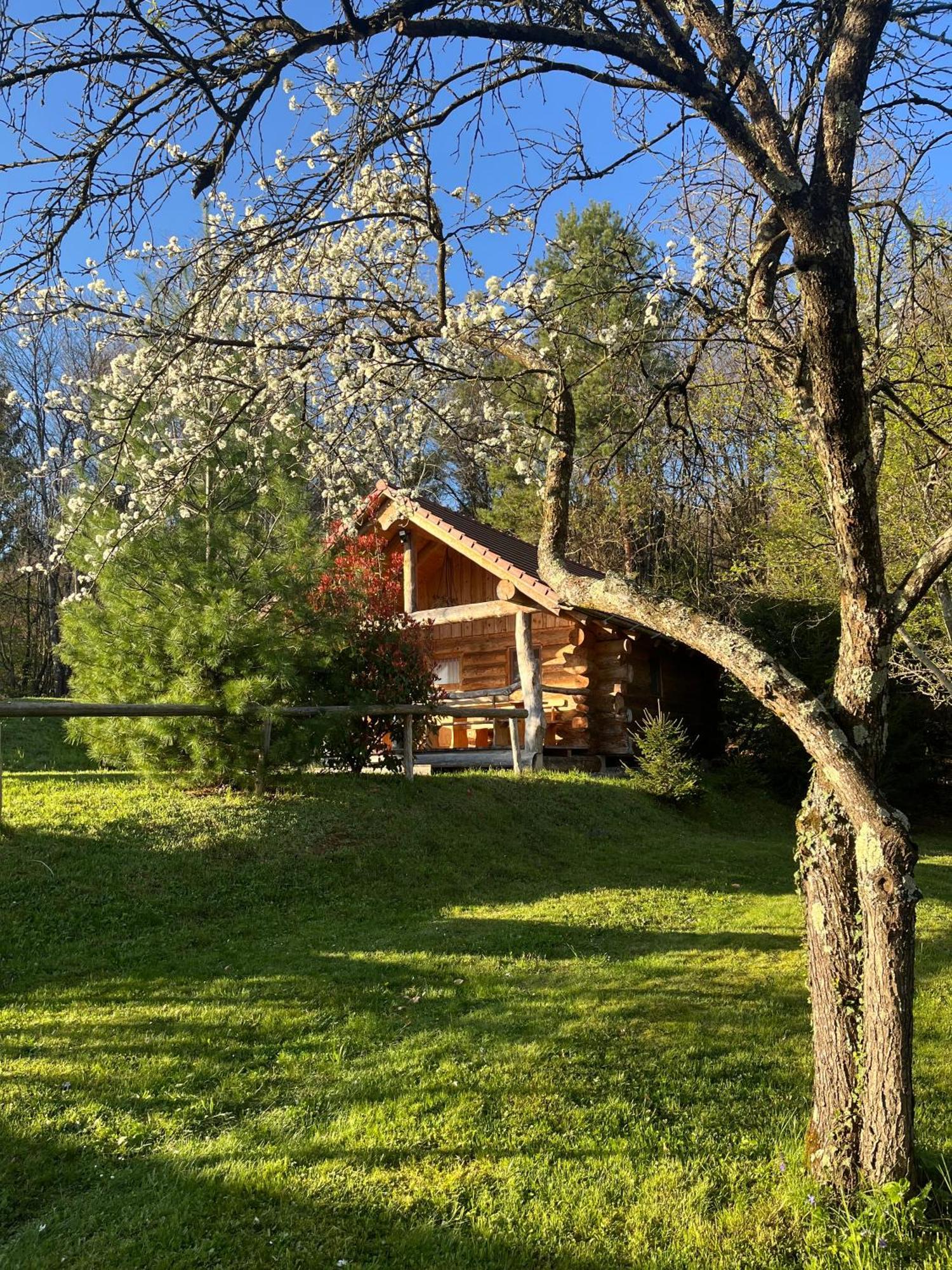 Hut At The Forest Male Brusnice Exterior photo